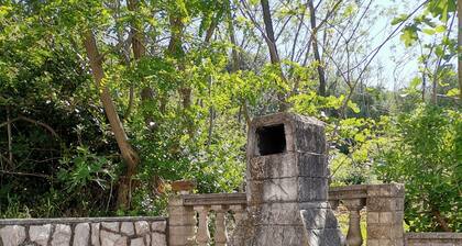 Room in Lopar with Balcony, WIFI (4620-96)