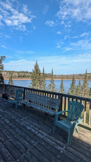Terrace/patio - Lake front timber cottage amongst towering pines. Family and pet friendly (vermillion bay)