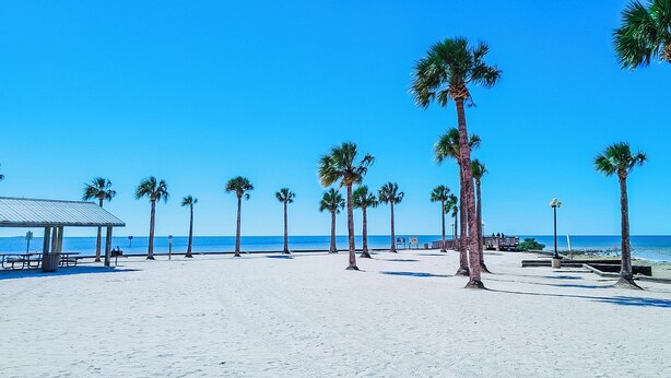 A beach with palm trees, a covered seating area, and a pier. - Weeki Wachee Pod


 (Spring Hill)