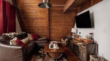 Smart TV, fireplace, books