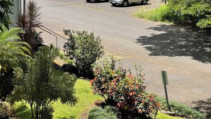 Un'area di parcheggio con diverse auto, immersa nel verde e palme.