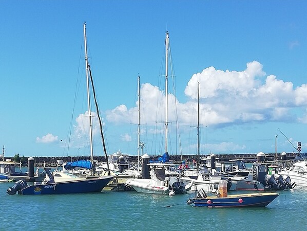 Port esportiu