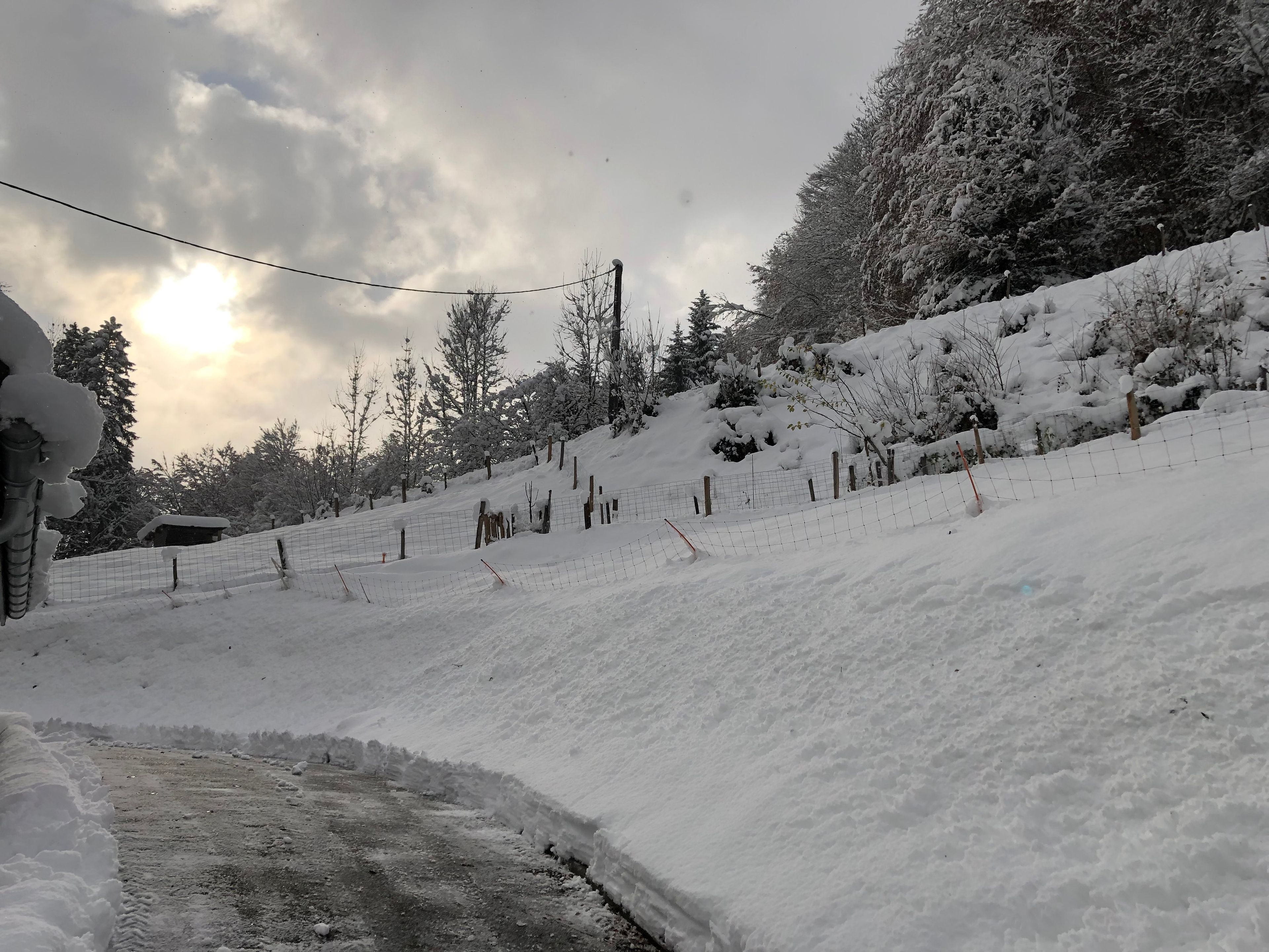 Schneebedeckte Landschaft mit einem Zaun, Bäumen und einem Gebäude im Hintergrund.