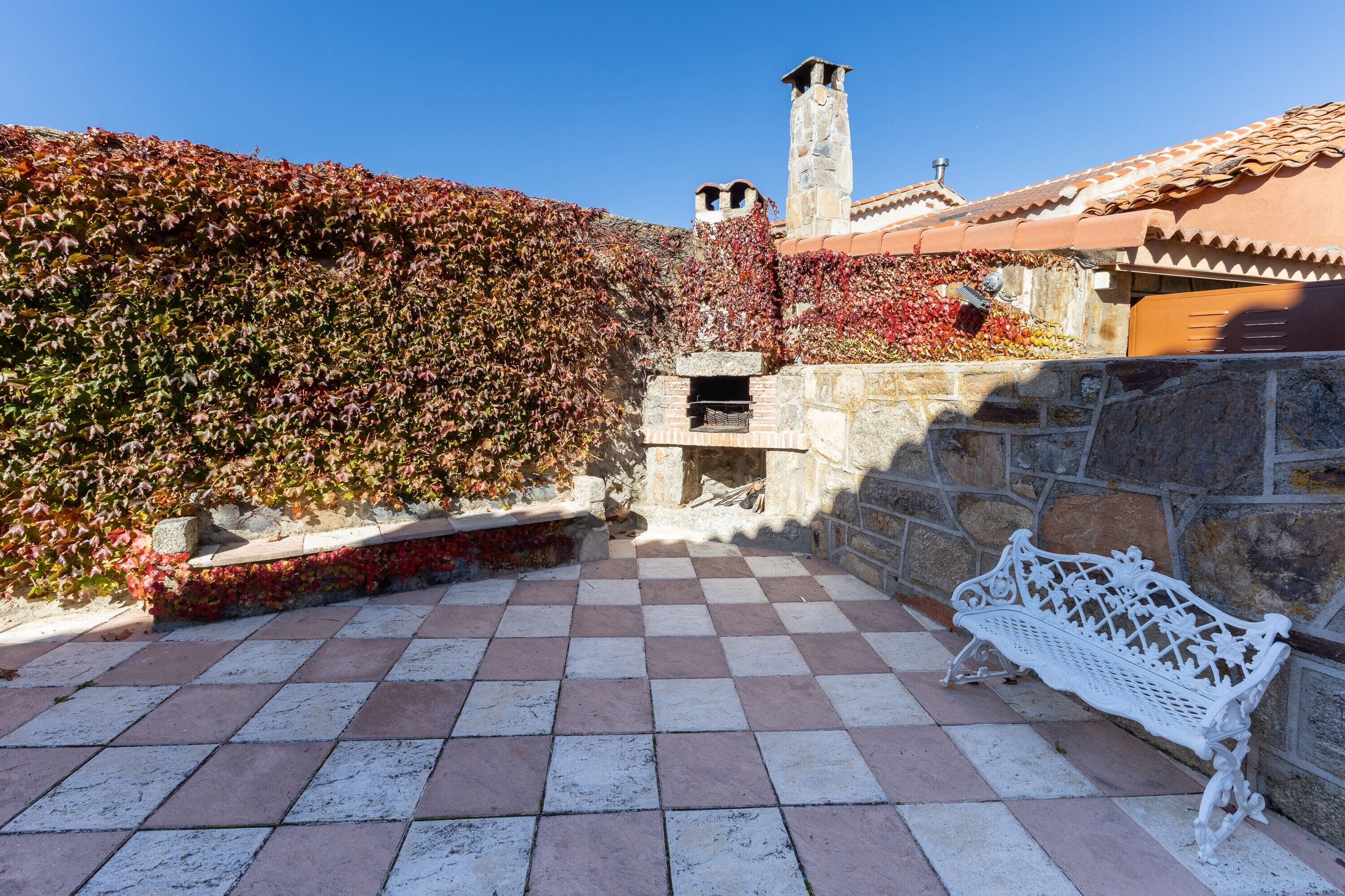 A courtyard with a checkered floor, a stone bench, and a wall covered in ivy.