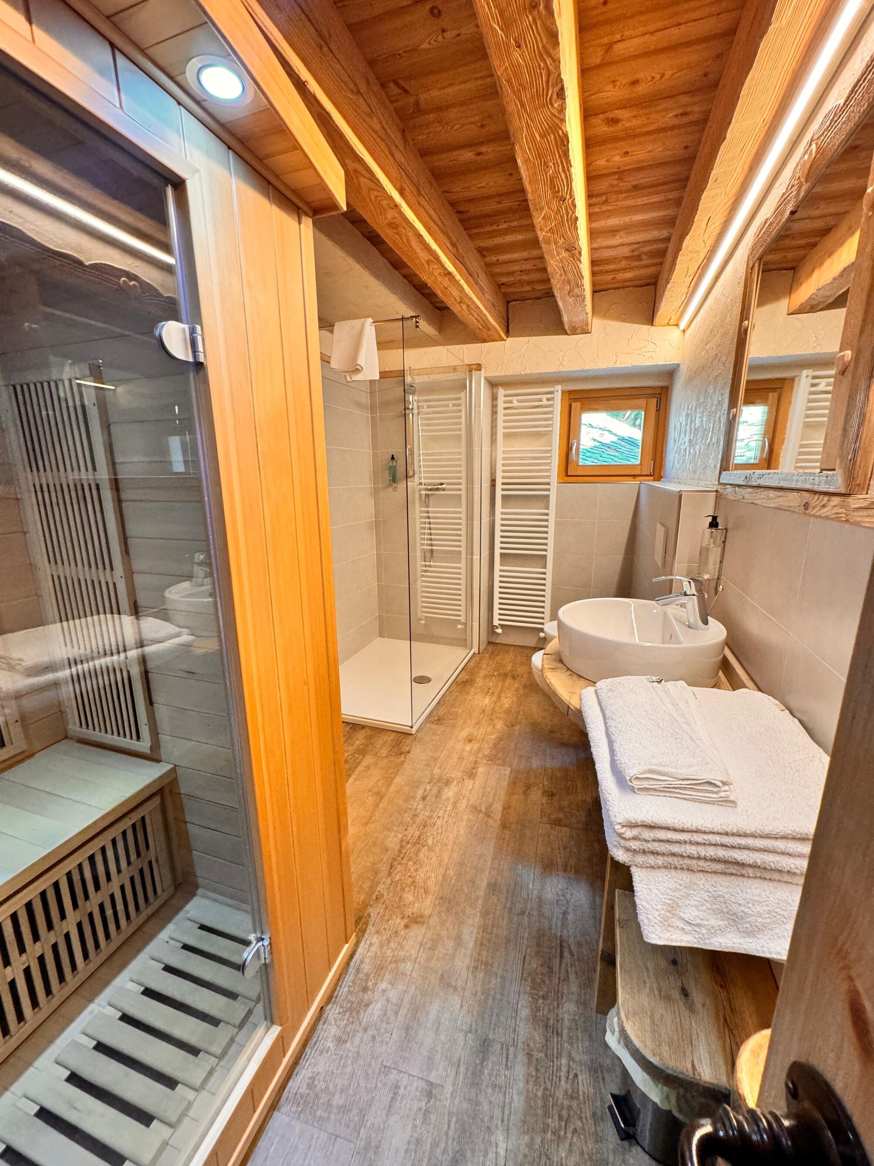 Shower, hair dryer, towels