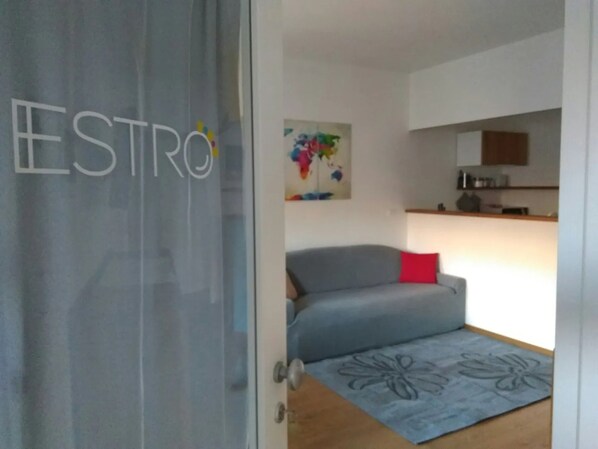 A room with a grey sofa, a red pillow, a floral rug, a kitchen area with cabinets, and a wall with a colorful abstract painting.