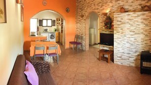 Un salon avec un canapé, un téléviseur, une cheminée et une cuisine en arrière-plan.