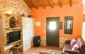 Televisión y chimenea