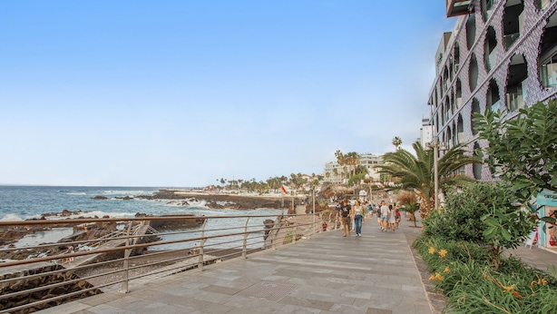 Un paseo marítimo con sendero de piedra, palmeras y vista al mar.