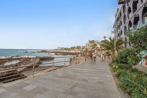 Um calçadão costeiro com um passeio de pedra, palmeiras e vista para o mar.