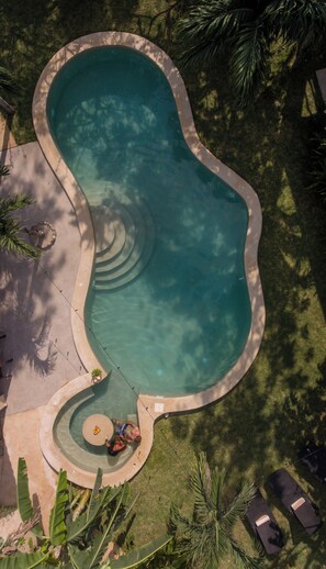 An aerial view of a swimming pool with a unique shape, surrounded by palm trees and a grassy area.