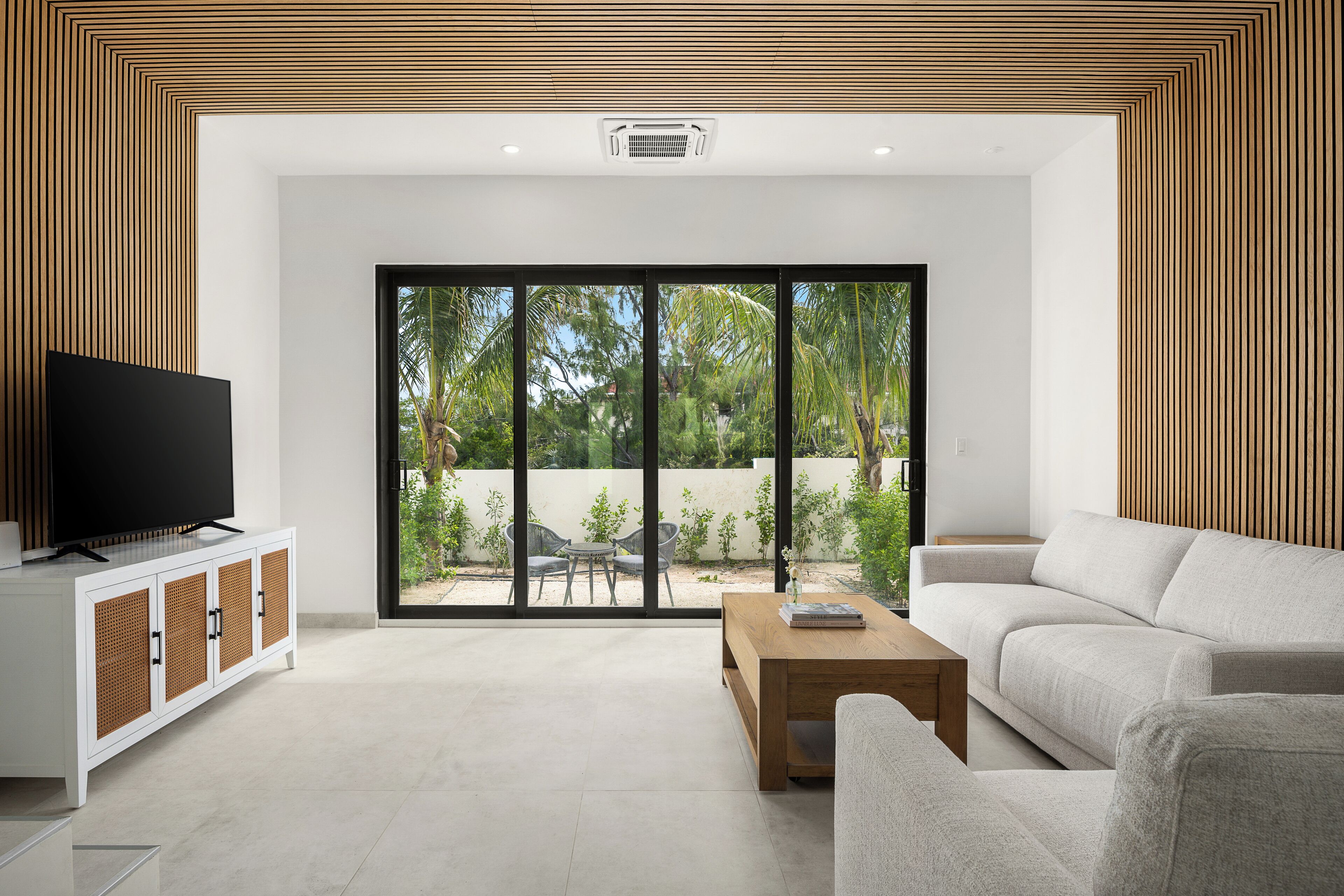 Älytelevisio, kirjoja