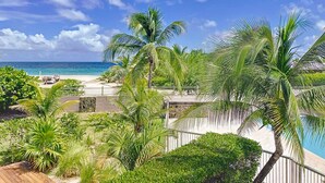 A beachfront property with a pool, palm trees, and a view of the ocean.