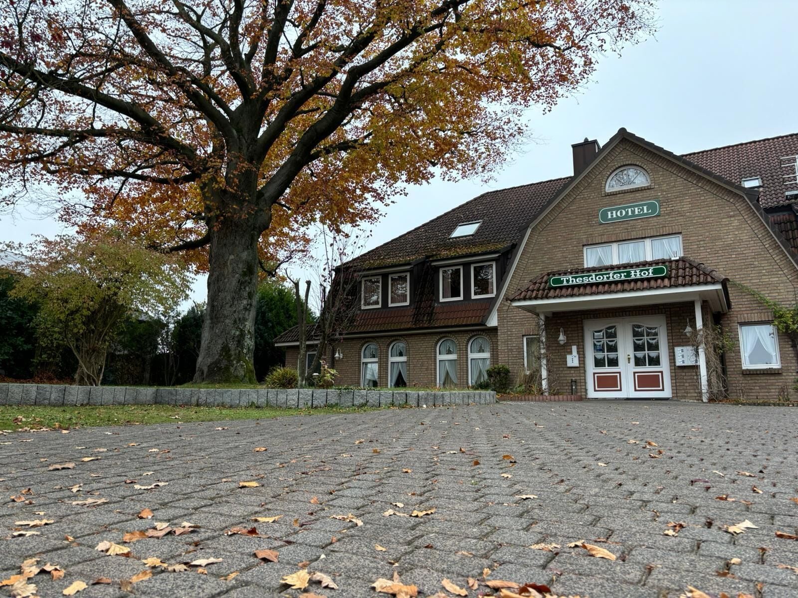 A hotel with a traditional brick facade, a large tree in front, and a paved walkway.