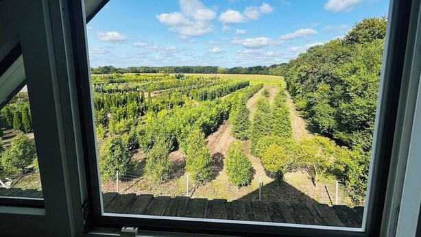 A vineyard with rows of grapevines and a dirt path. - Hotel Thesdorfer Hof (Pinneberg)