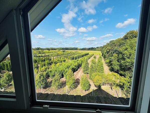 Coffres-forts dans les chambres, bureau