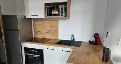 Appartement 1 chambre refait Ă neuf