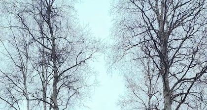 6-bedroom Lakefront Lodge on 10 acres w/wifi only 13 miles to downtown Talkeetna