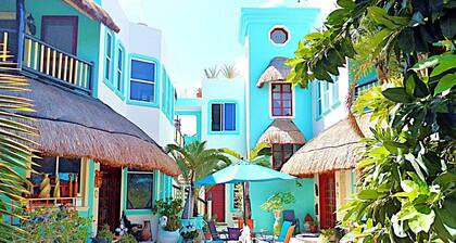 Casa Gatos
