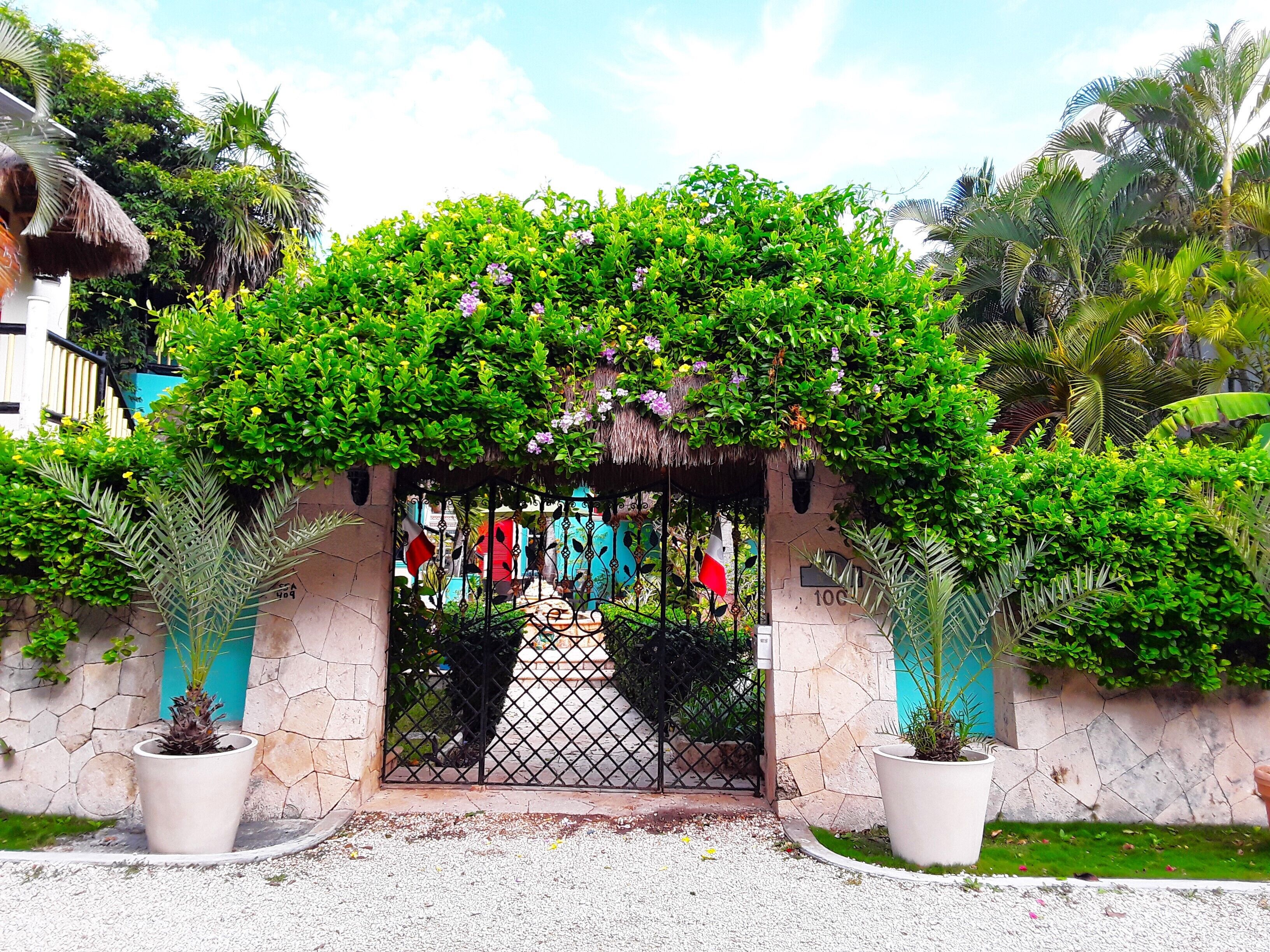 Vista frontal de la propiedad