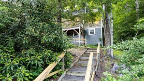 A wooden staircase leading to a wooden deck with a railing, surrounded by dense foliage.