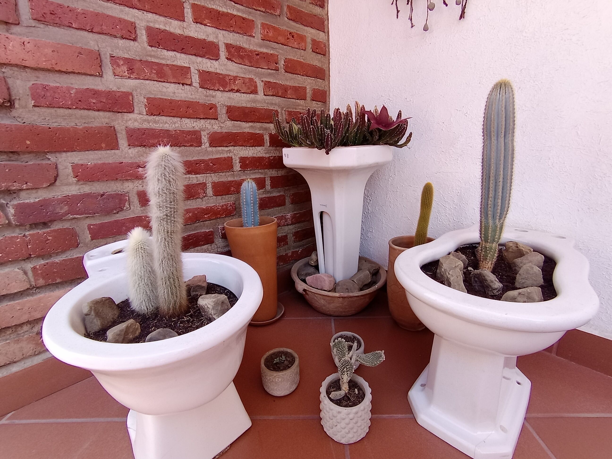 Foto - ALSIGAL COCHABAMBA Casa de Huéspedes