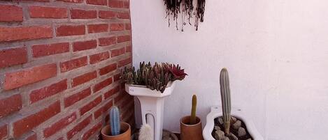 Um pátio com azulejos, cactos em vasos e um sonhoapanhado na parede.