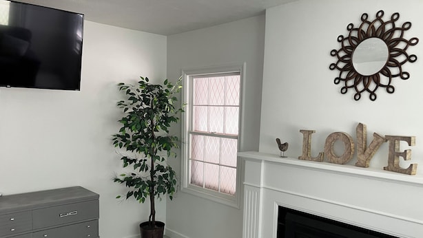 Una habitación con chimenea, una planta en maceta, un espejo en la pared y un televisor.