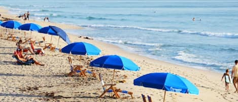 Ein Strand mit Reihen von blauen Sonnenschirmen und Liegestühlen.