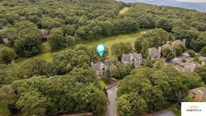 Vista aérea de una zona residencial con casas rodeadas de abundante vegetación y un paisaje montañoso.