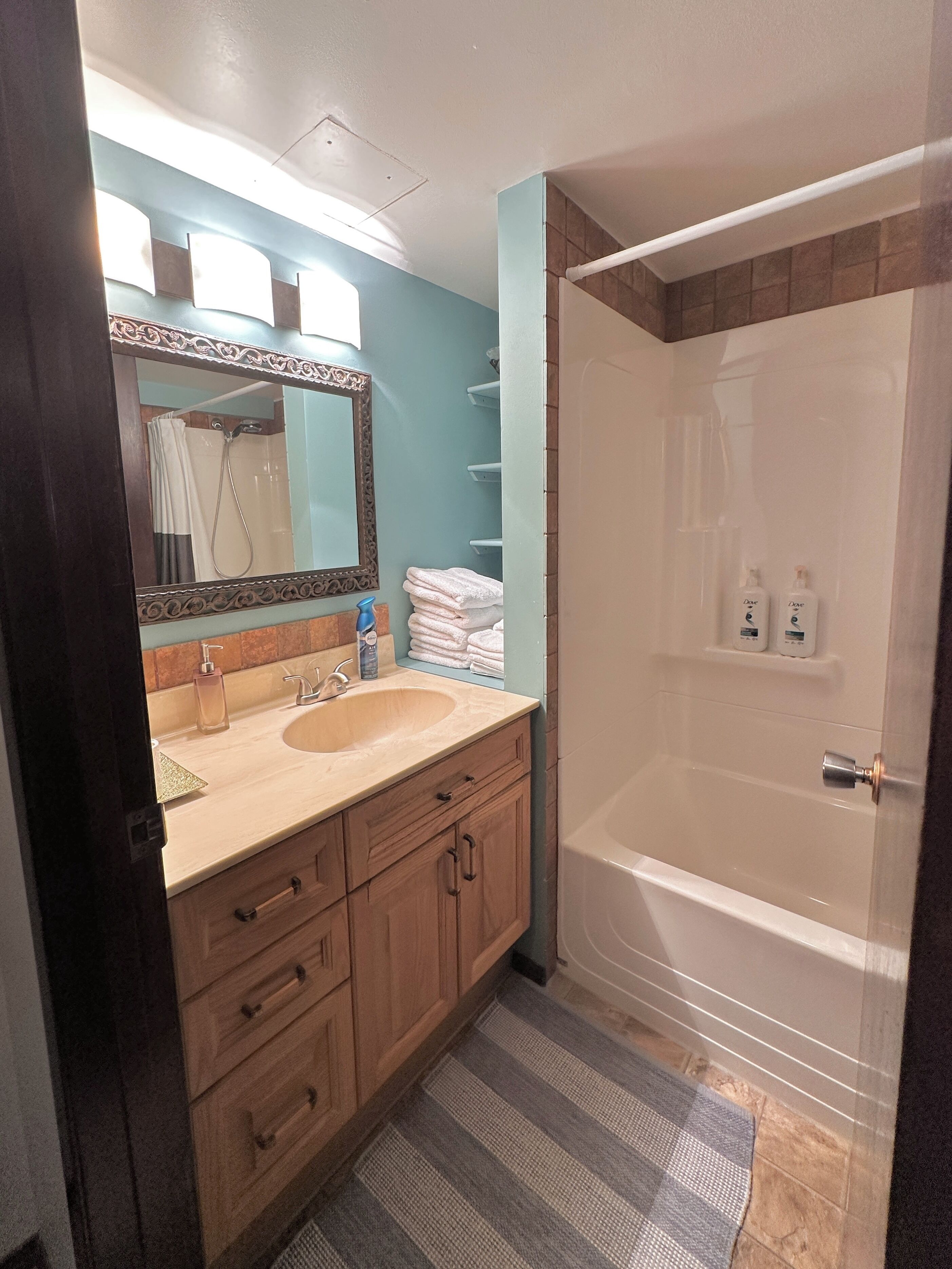 Hair dryer, towels, soap, shampoo