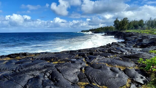 A rocky coastline with waves crashing against the shore, a clear sky, and a forest in the background.