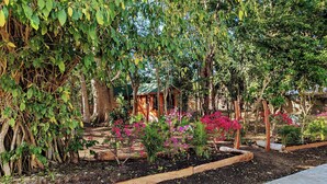 Un jardín con diversas plantas y flores, una estructura de madera y un muro de ladrillo al fondo.