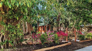 Enceinte de l’hébergement