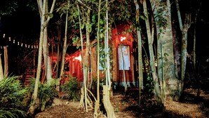 Una construcción rústica de madera rodeada de árboles altos en la noche.