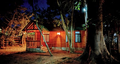 Free pet-friendly nice Cabin/Wifi/AC/Kitchen/Grill
