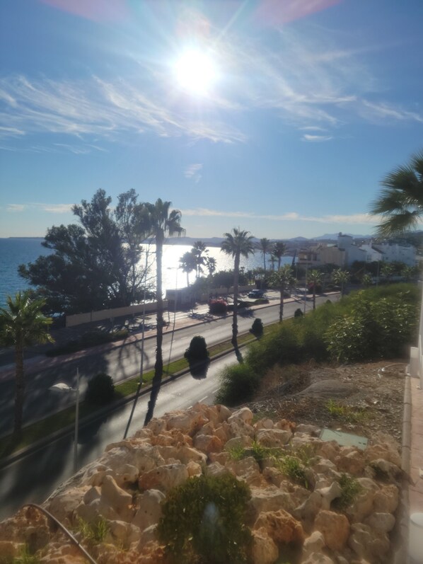 Una carretera costera con palmeras, cielo despejado y vista al mar y edificios a lo lejos.