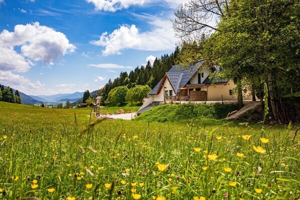 Une maison avec un toit en pente, entourée d’un champ verdoyant et luxuriant et d’arbres.
