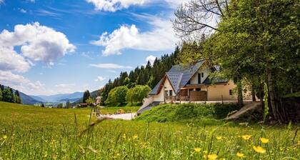 GĂźte avec vue panoramique plateau du Vercors