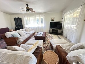TV