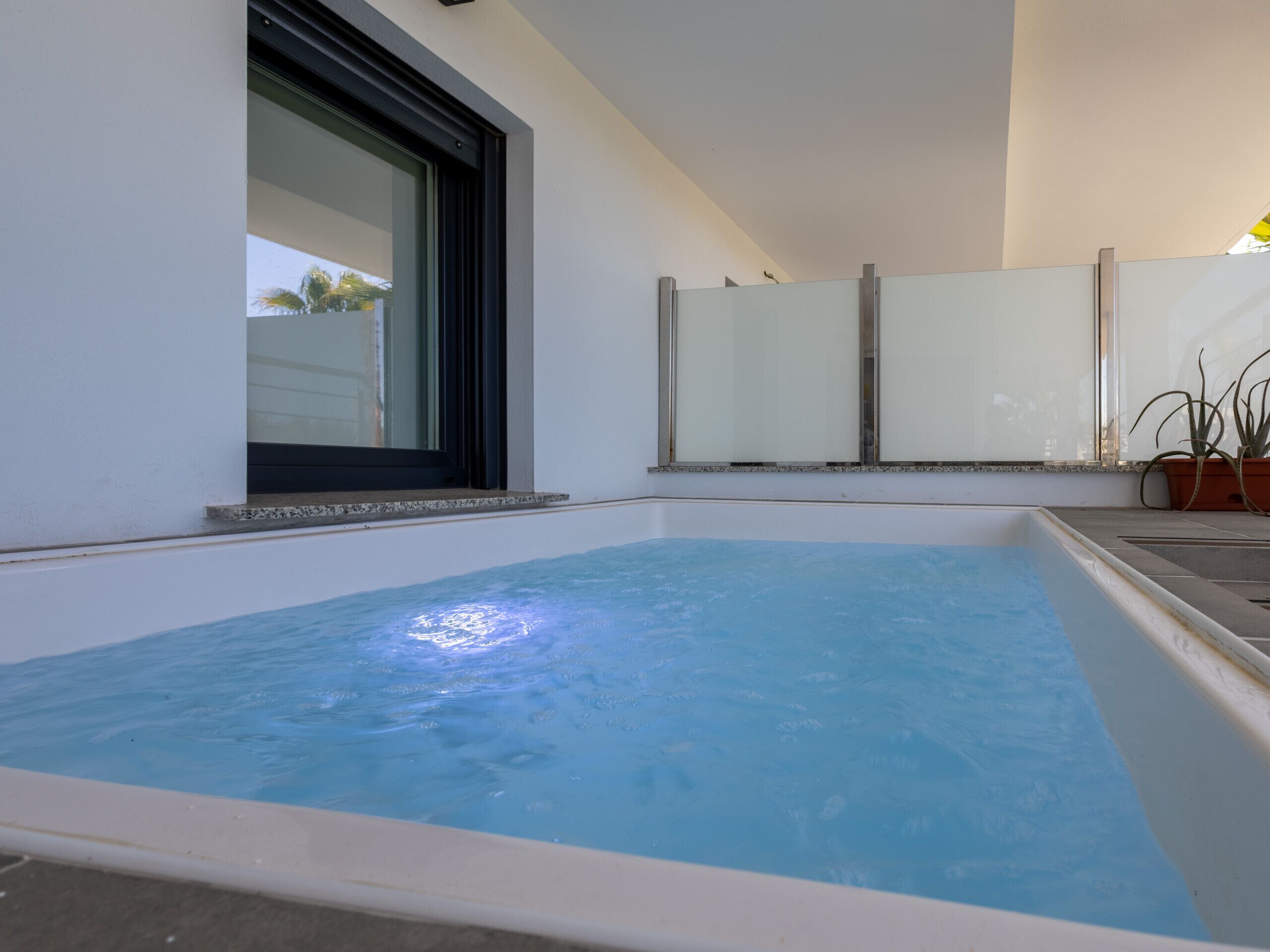 A swimming pool with a glass enclosure, a window, and a potted plant.