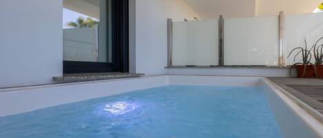 A swimming pool with a glass enclosure, a window, and a potted plant.