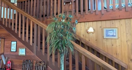 Stunning Soulful Bush Cabin Retreat in acres of native bushland. Pet friendly