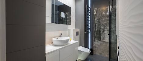 Shower, hair dryer, towels