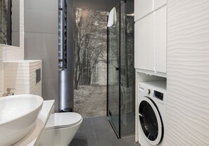 Shower, hair dryer, towels