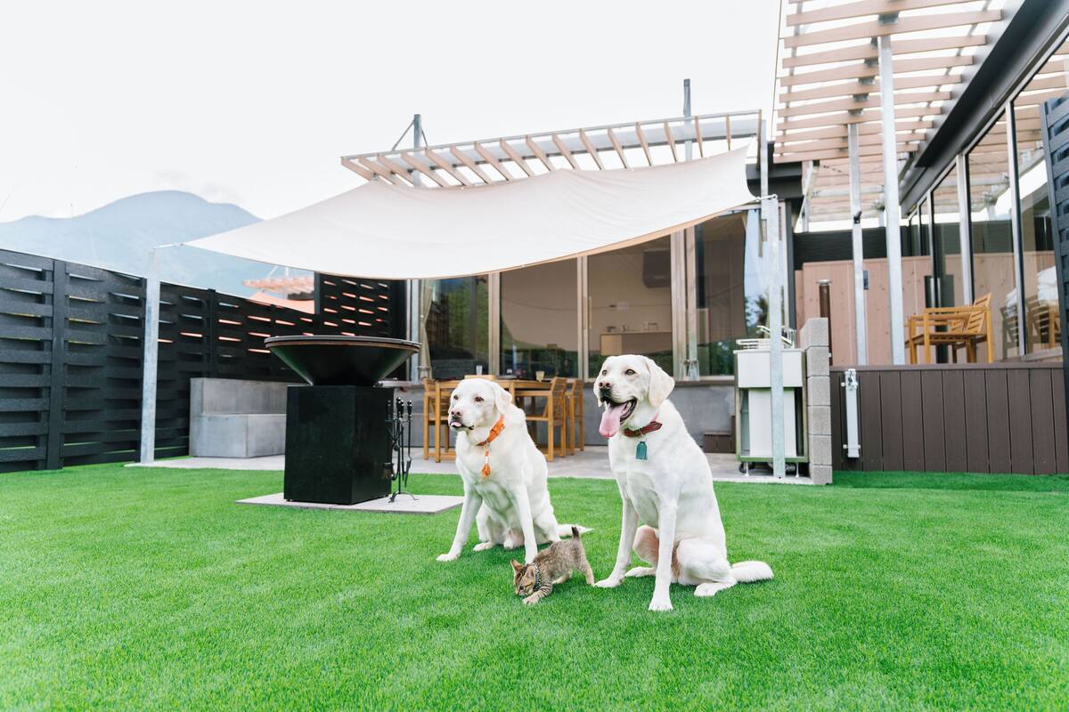 Family Room, 1 Bedroom, Pets Allowed, Mountain View (Yufu) | Room amenity