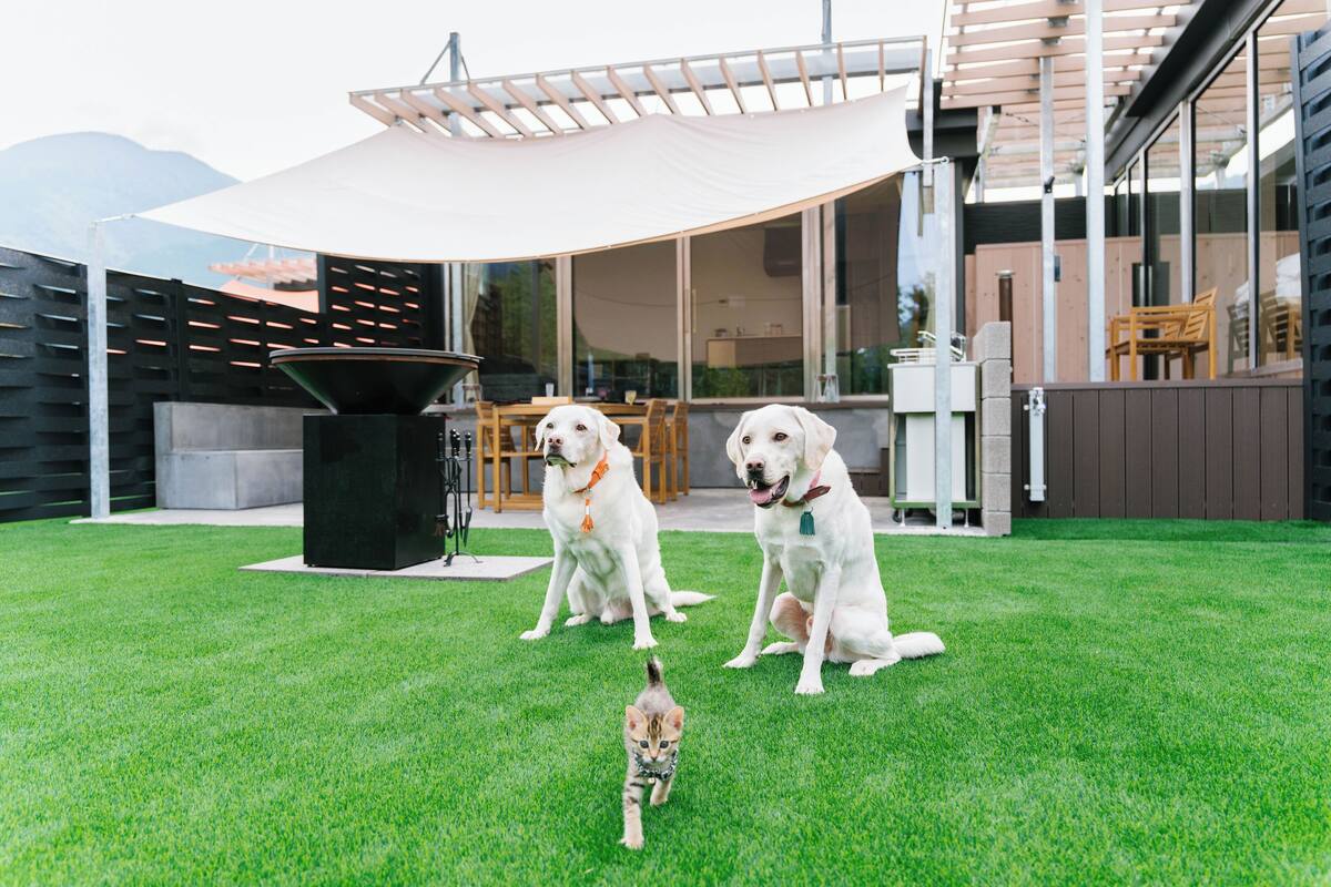 Family Room, 1 Bedroom, Pets Allowed, Mountain View (Kiri) | View from room