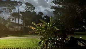 A night sky with a bright moon and clouds, a grassy area, and trees. - Blue Beach Pool House-Port Orange/Daytona (Port Orange)