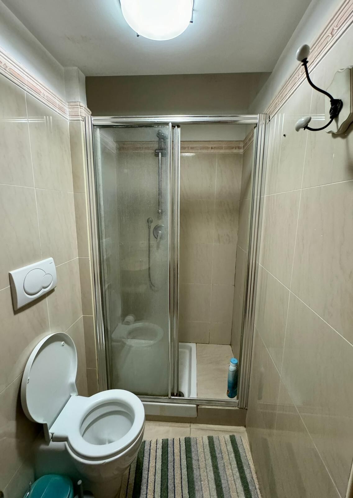 Un baño con ducha envuelta en vidrio, un inodoro y un perchero para toallas.