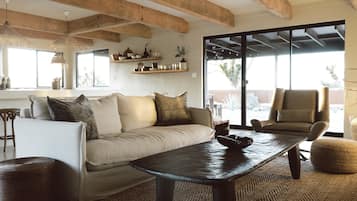 Smart TV, fireplace, books, stereo